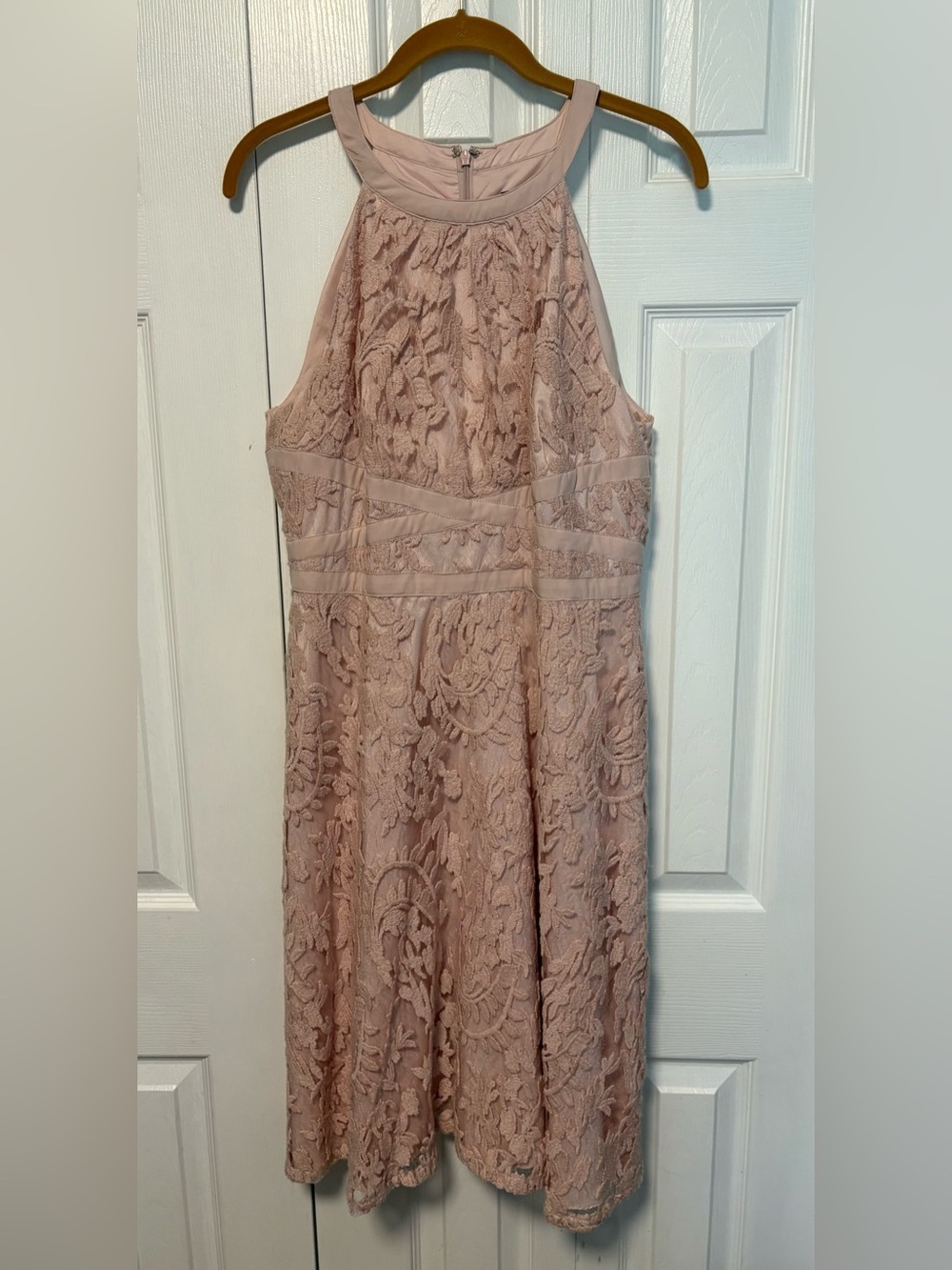 Adrianna Papell Beautiful and Elegant Blush Lace Halter Dress